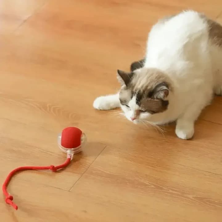 Balle magique pour chat - Lumières & mouvement - Vue 5