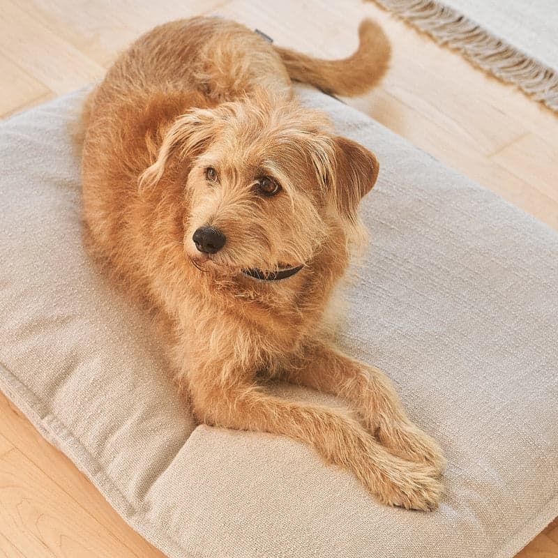 Coussin Orthopédique Deluxe