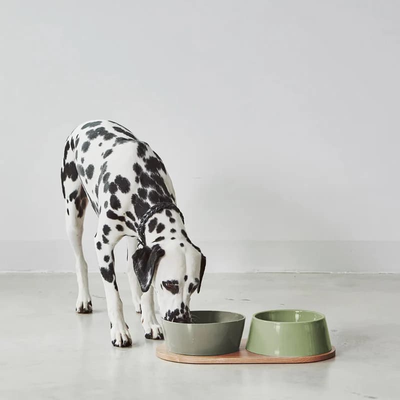Gamelle design pour chien en porcelaine, élégance scandinave - Vue 2