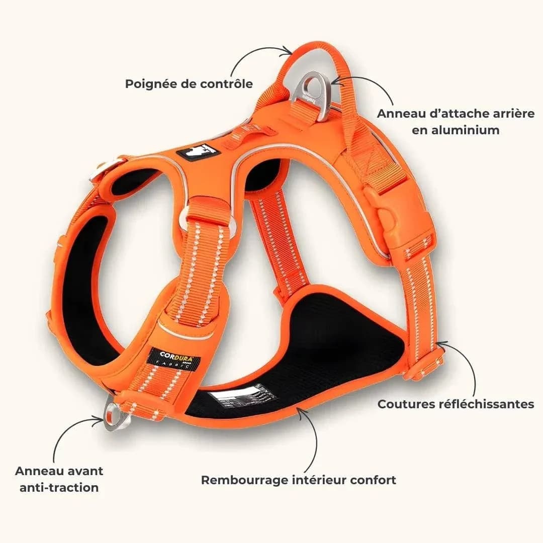 Harnais Cuir Premium - Vue 8